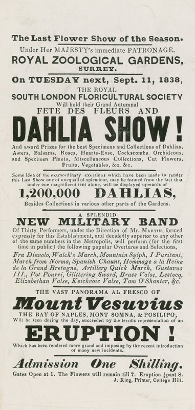 Fête des Fleurs and Dahlia Show by English School