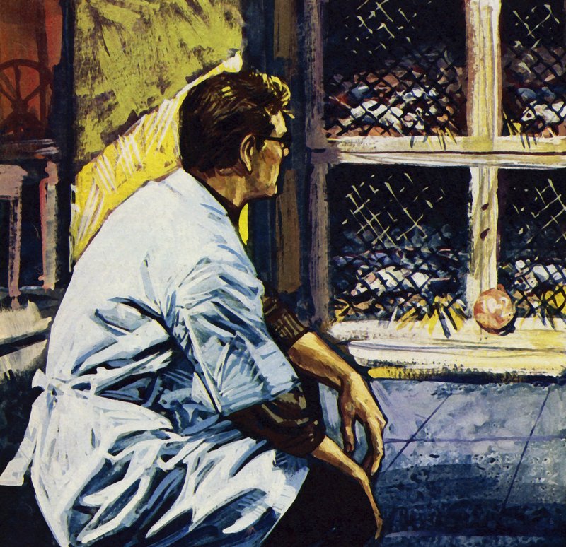 Fleming was unsure whether penicillin would kill patients as well as germs by English School