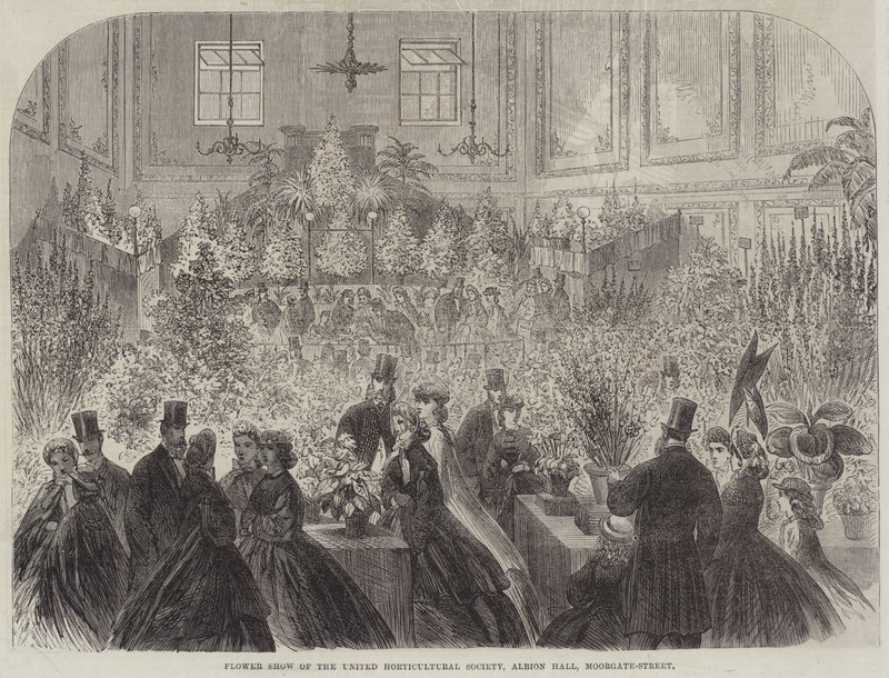 Flower Show of the United Horticultural Society, Albion Hall, Moorgate-Street by English School