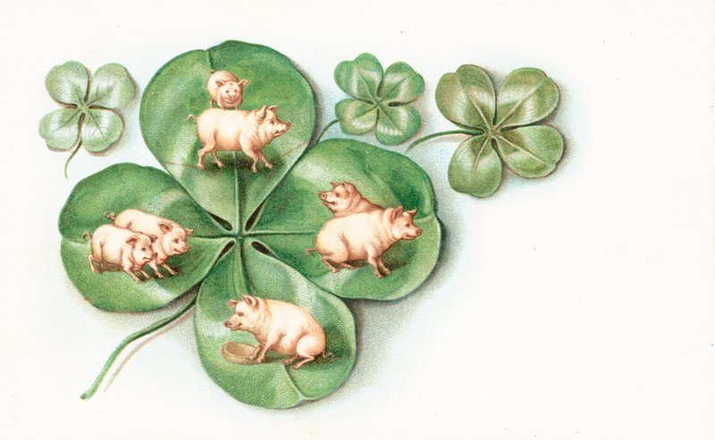 Four-Leaved Clover with Pigs on Each Leaf by English School