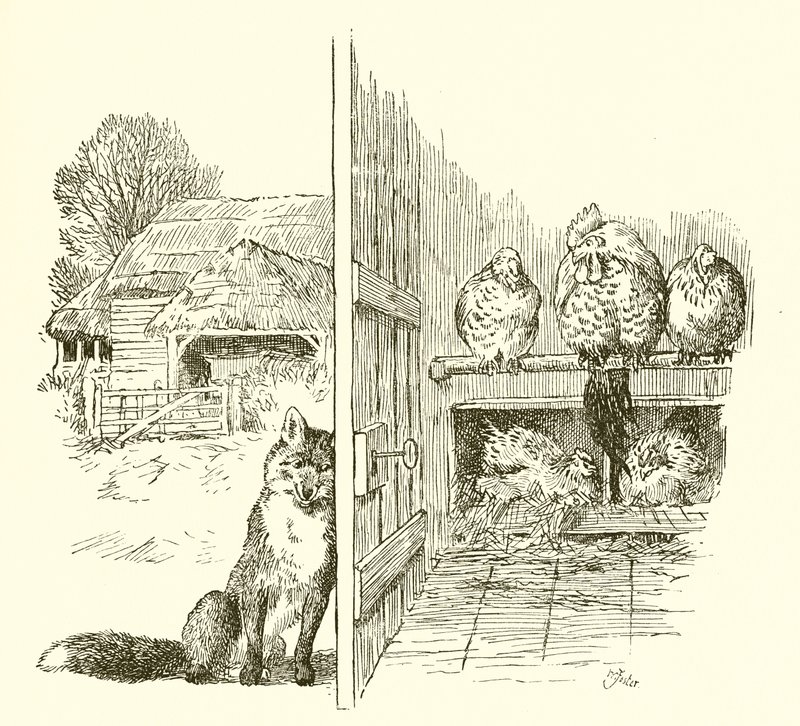 Fox Outside the Hen House by English School
