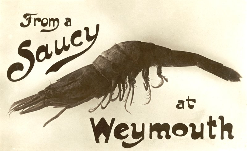 From a saucy prawn at Weymouth, greetings card by English School