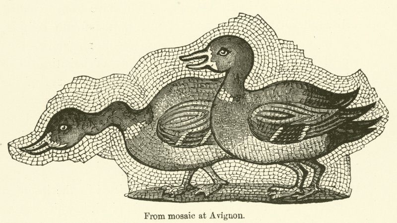 From Mosaic at Avignon by English School