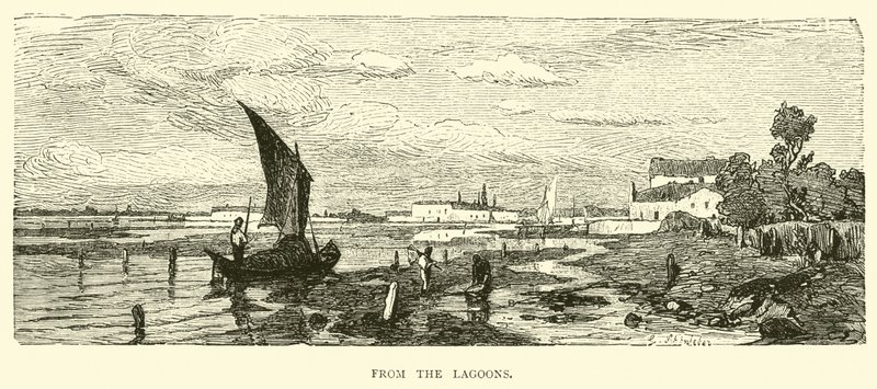 From the Lagoons by English School