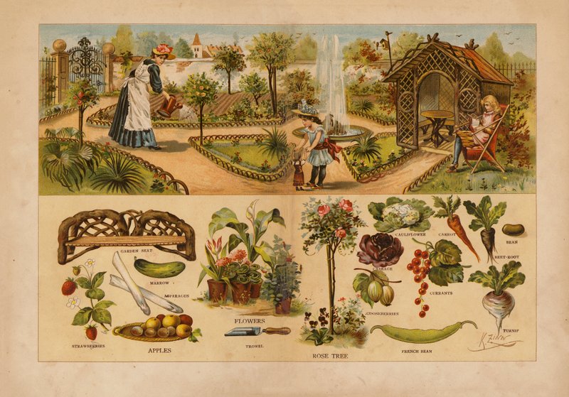 Garden by English School