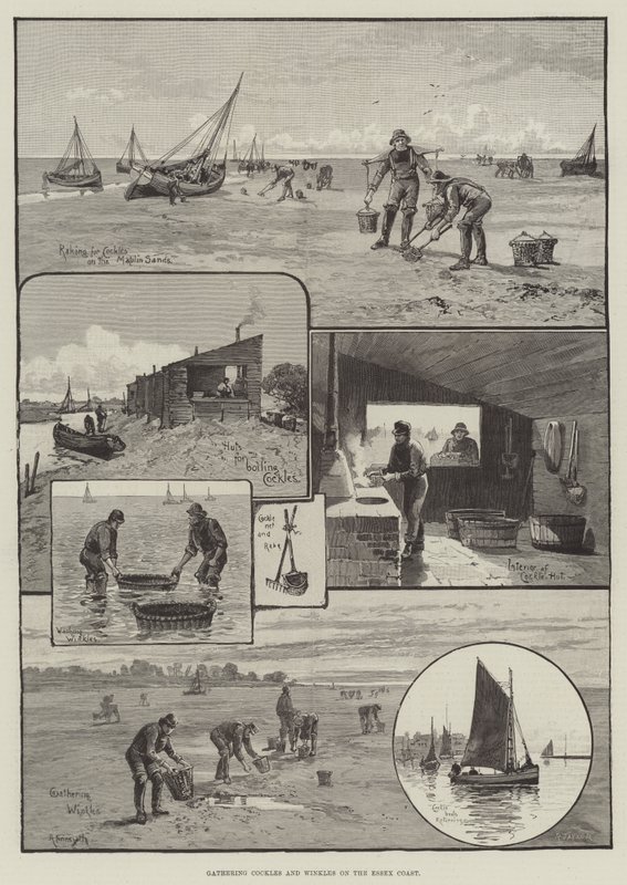 Gathering Cockles and Winkles on the Essex Coast by English School