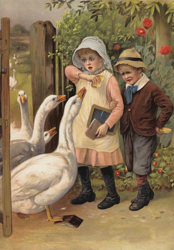 Geese chasing children for their food by English School