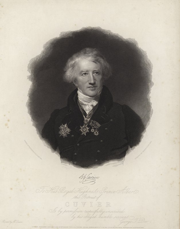 Georges Cuvier by English School