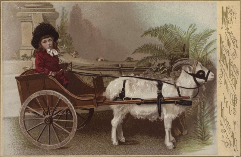 Girl in a goat cart, New Year
