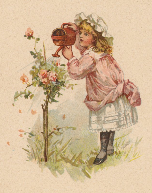 Girl watering roses by English School