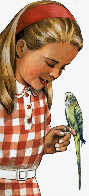 Girl with Budgerigar by English School