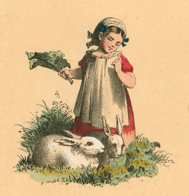 Girl with Her Rabbits by English School
