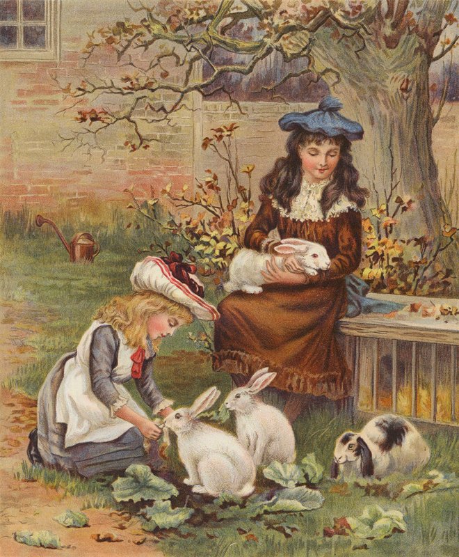 Girls caring for their pet rabbits by English School