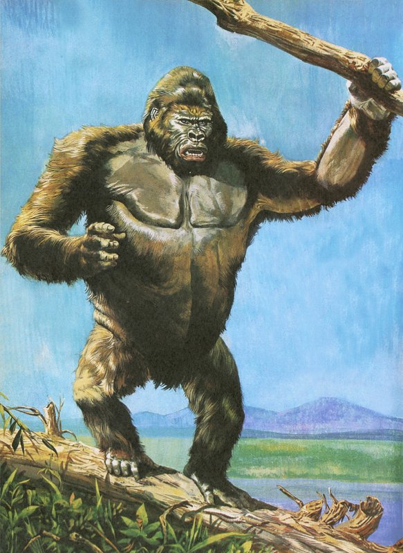 Gorilla by English School