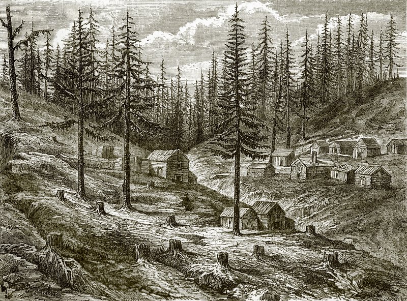 Grass Valley Diggings by English School