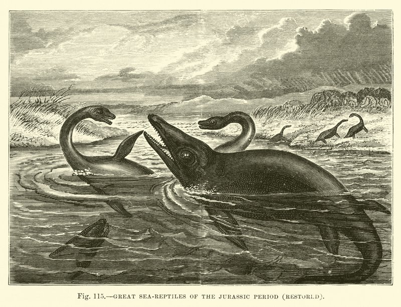 Great Sea-Reptiles of the Jurassic Period, Restored by English School