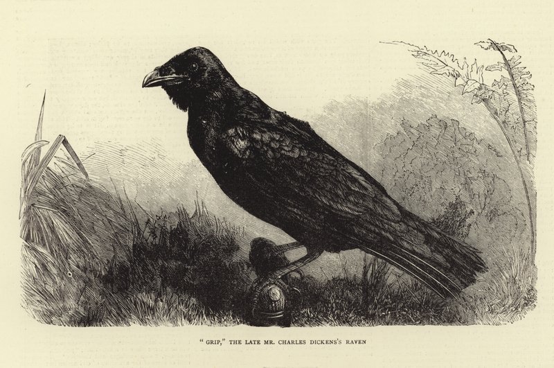 Grip, the Late Charles Dickens
