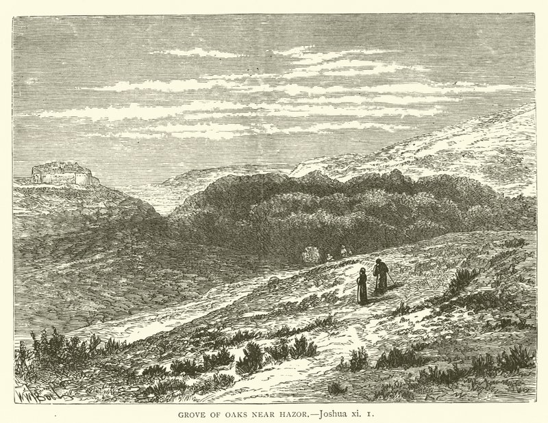 Grove of Oaks near Hazor, Joshua, xi by English School