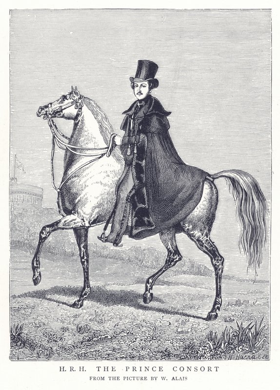 H.R.H. the Prince Consort by English School