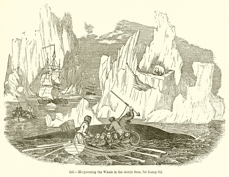 Harpooning the Whale in the Arctic Seas, for Lamp Oil by English School