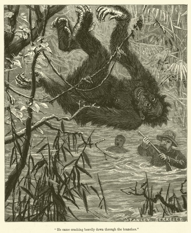 He Came Crashing Heavily Down Through the Branches by English School