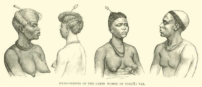 Head-dresses of the Cammi women of Fernao Vaz by English School