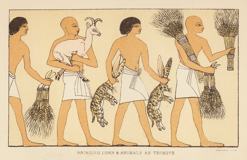 Herodotus: Bringing corn and animals as tribute by English School