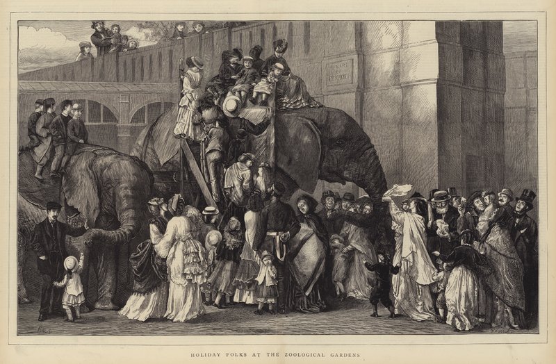 Holiday Folks at the Zoological Gardens by English School