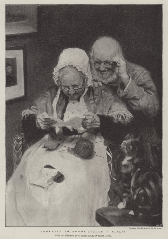 Homeward Bound by English School