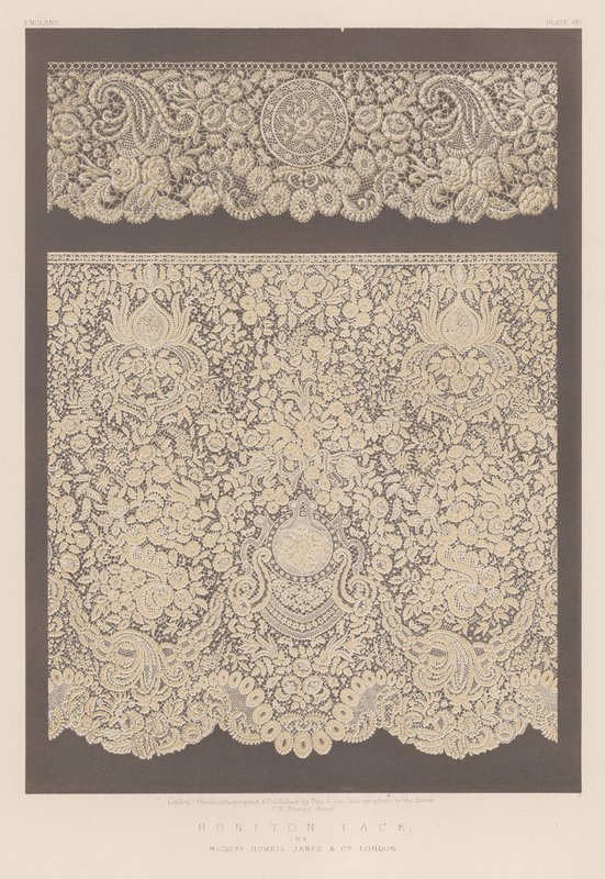 Honiton Lace by English School