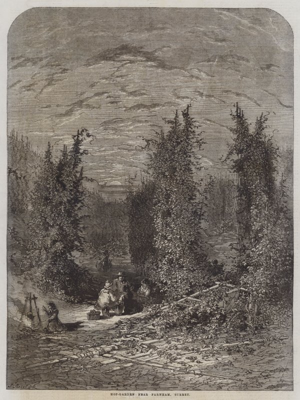 Hop-Garden near Farnham, Surrey by English School