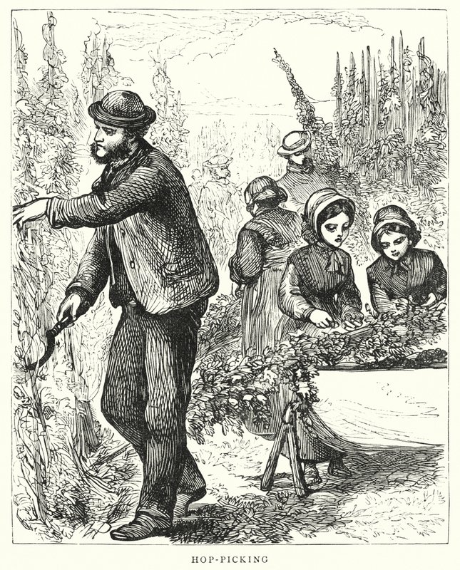 Hop-Picking by English School