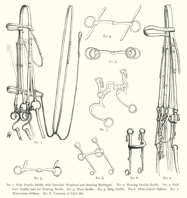 Horse bridles by English School