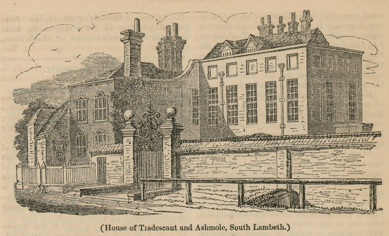 House of Tradescant and Ashmole, South Lambeth by English School