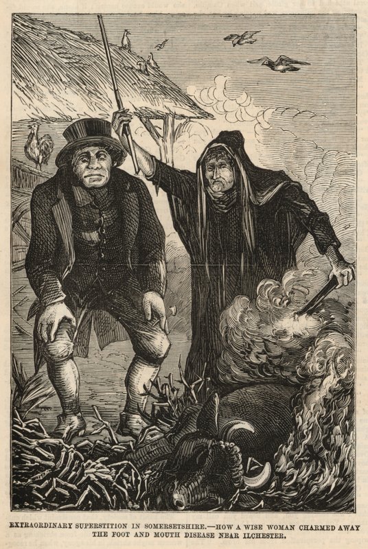 How a Wise Woman Charmed Away the Foot and Mouth Disease Near Ilchester by English School