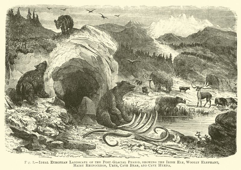 Ideal European Landscape of the Post-Glacial Period, showing the Irish Elk, Woolly Elephant, Hairy Rhinoceros, Urus, Cave Bear, and Cave Hyaena by English School