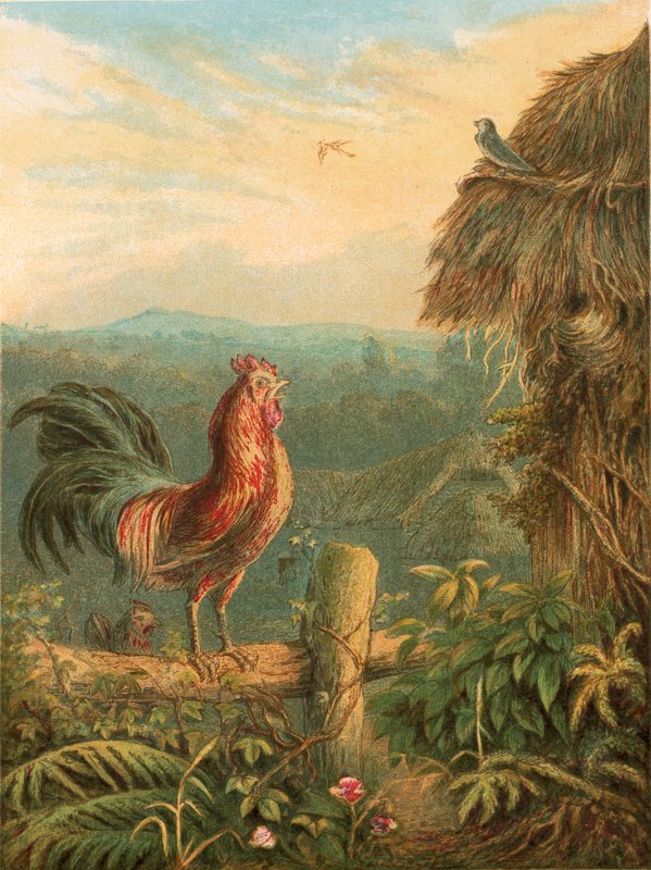 Illustration for Gray