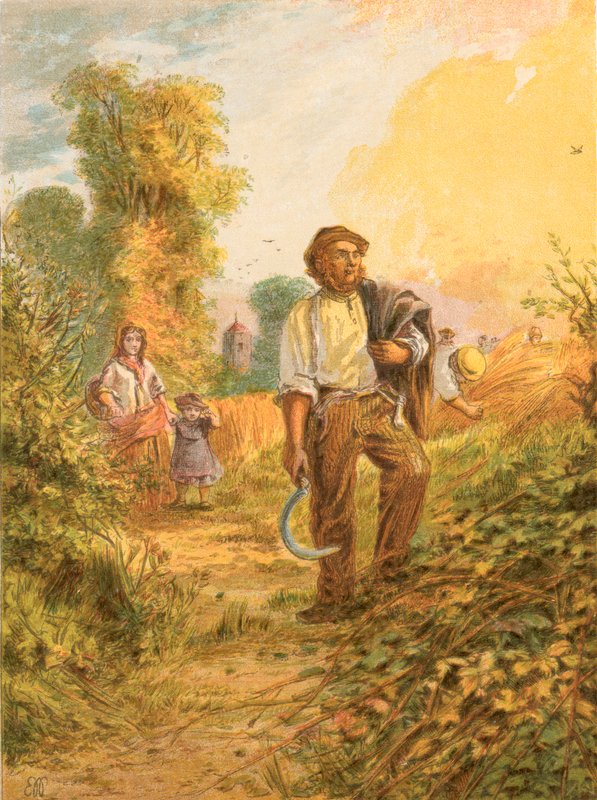 Illustration for Gray