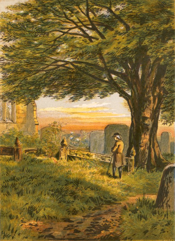 Illustration for Gray