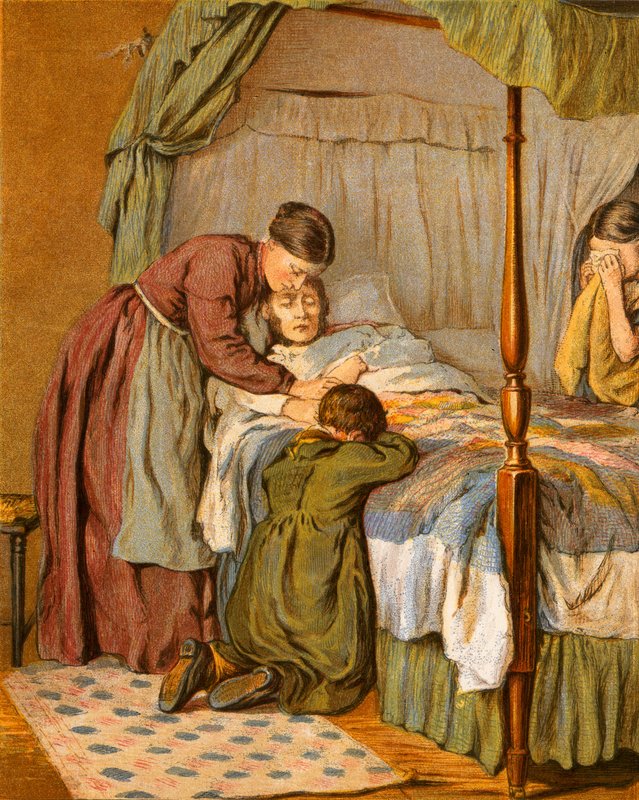 Illustration for Gray