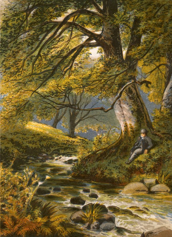 Illustration for Gray
