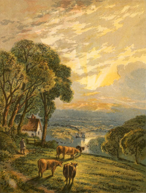 Illustration for Gray