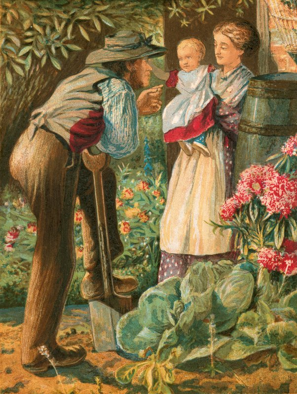 Illustration for Gray