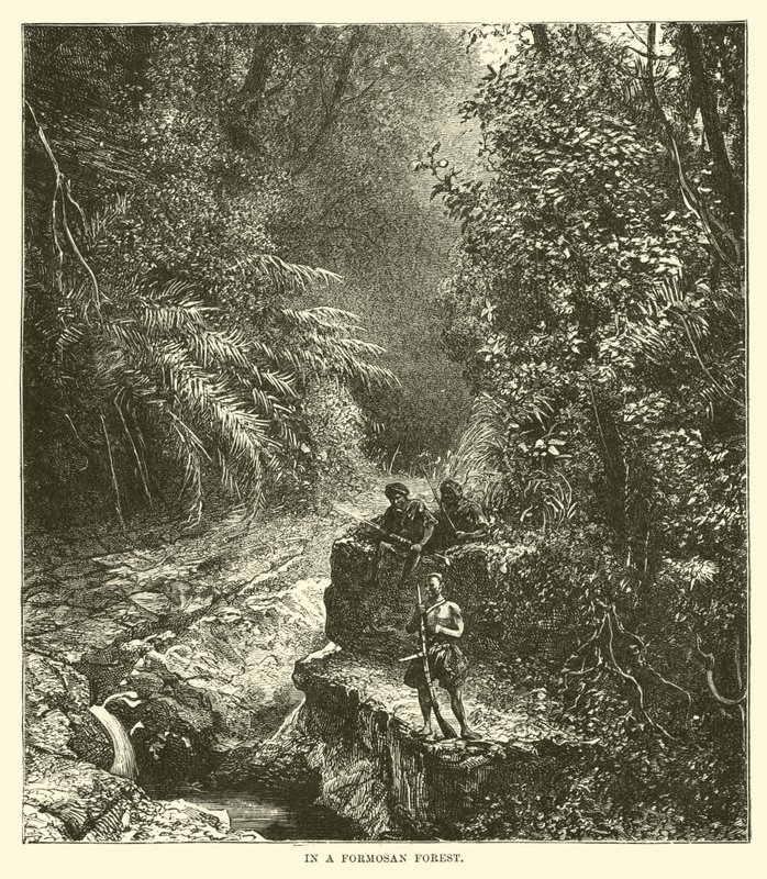 In a Formosan Forest by English School