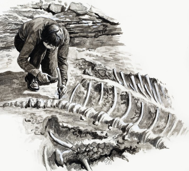 In the Days of the Dinosaurs: Battle of the Giants by English School