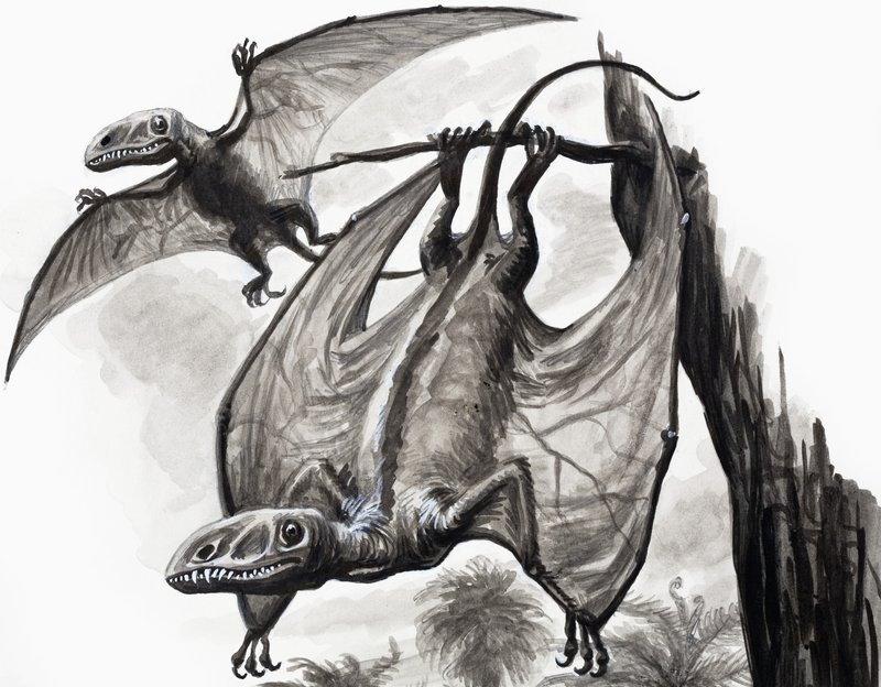 In the Days of the Dinosaurs: Hunters from a Height by English School
