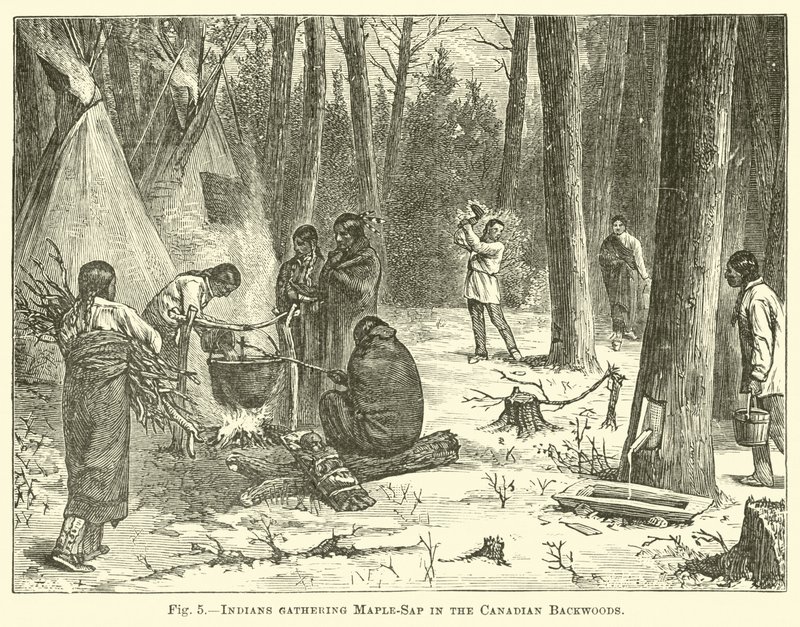 Indians gathering Maple-Sap in the Canadian Backwoods by English School