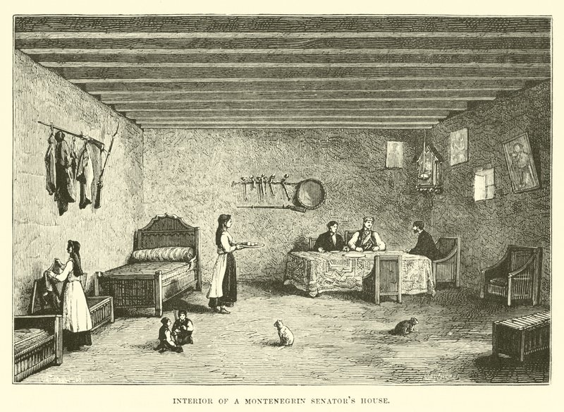 Interior of a Montenegrin Senator
