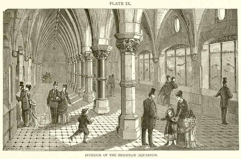 Interior of the Brighton Aquarium by English School