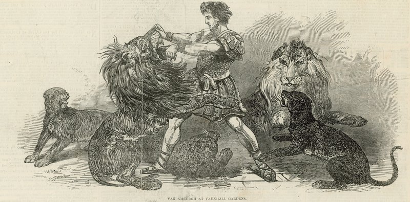 Isaac van Amburgh at Vauxhall Gardens by English School